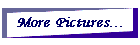 More Pictures...