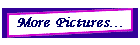 More Pictures...